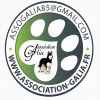 Logo of the association Association Galia